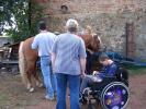 Za pomoci rampy si může jízdu na koni vyzkoušet i paraplegik. [nové okno]