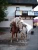 Jak vidíme novomanžele, okamžitě s nimi na koně. [nové okno]