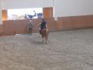 Trenérka, jezdkyně i kůň opouštějí závodiště. [nové okno]